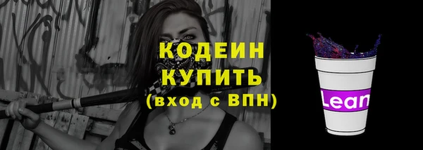 бошки Няндома