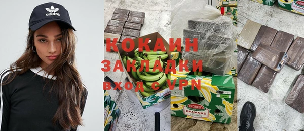 бошки Няндома