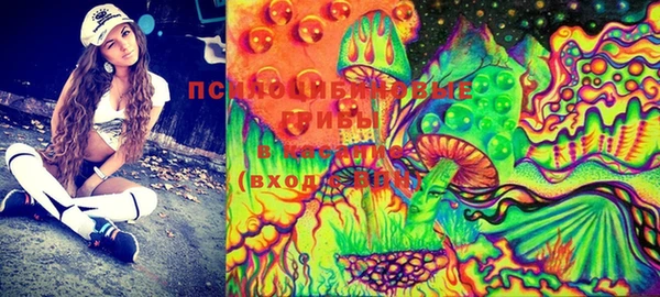 бошки Няндома