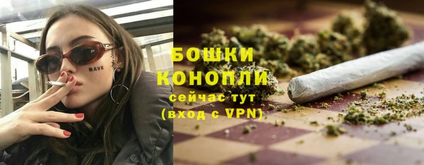 сатива Туринск