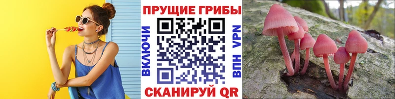 Псилоцибиновые грибы прущие грибы  blacksprut   Новосиль 